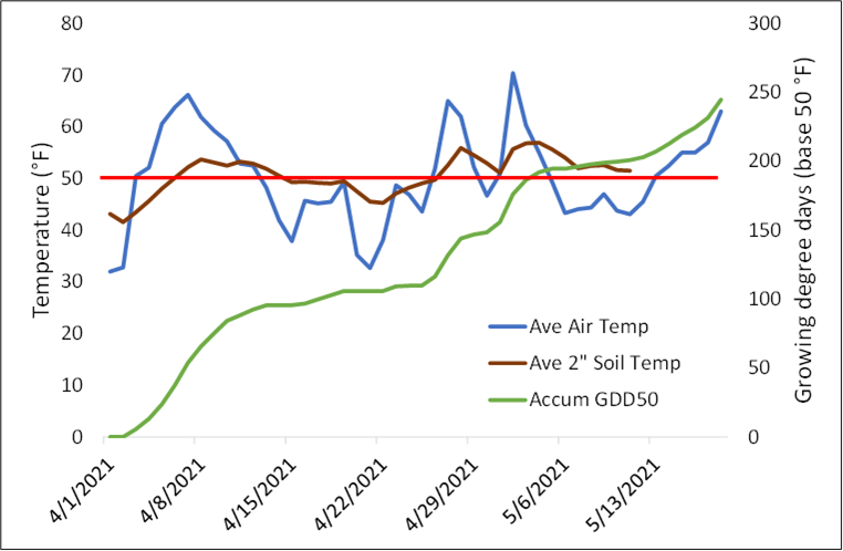 Air and soil temperatures graph